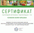 Коллектив  детского сада  "Полянка" села Наровчат награждены Сертификатами за участие в мониторинге качества дошкольного образования - Наровчатский район