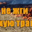 Обращение к населению! Не жгите сухую траву! - Наровчатский район