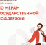 Онлайн-брифинг по мерам государственной поддержки - Наровчатский район