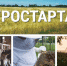 Агростартап - Наровчатский район