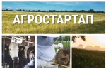 Агростартап