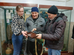 Ветераны войны в Афганистане пополнили экспозицию "Отечество, долг, память " в музее истории и этнографии