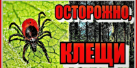Клещи массово проснулись в Пензенской области из-за ранней весны - Наровчатский район