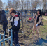 На кладбище в с.Наровчат наводят порядок - Наровчатский район