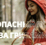 Как не заблудиться в лесу во время сбора грибов - Наровчатский район