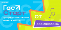 Всероссийский форум «ГосСтарт» - Наровчатский район