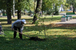 В городском парке Наровчата прошла акция "Семейное дерево"