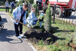 В городском парке Наровчата прошла акция "Семейное дерево"