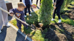 В городском парке Наровчата прошла акция "Семейное дерево"