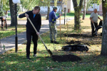 В городском парке Наровчата прошла акция "Семейное дерево"