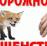 ПАМЯТКА о мерах профилактики бешенства - Наровчатский район