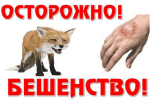 ПАМЯТКА о мерах профилактики бешенства