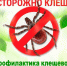 Клещевым энцефалитом можно заразиться без укуса - Наровчатский район