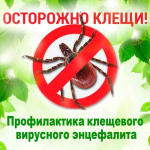 Клещевым энцефалитом можно заразиться без укуса