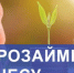 Микрозайм «Приоритетный» - Наровчатский район