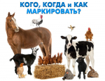 Маркирование и учёт животных в ФГИС «ВетИС» (компонент «Хорриот»)
